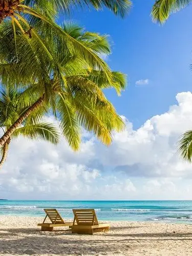 LivelaughloveKIKUHONDA의 Beach rp