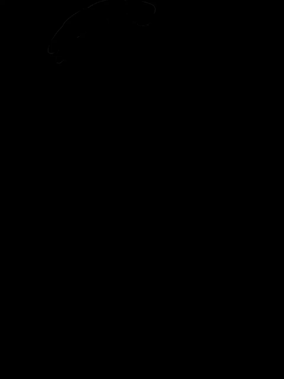 nani_nani의 《당신은 프리큐어》