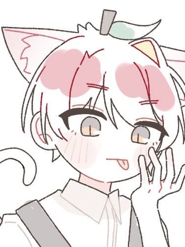 고양이 맢 대표 이미지