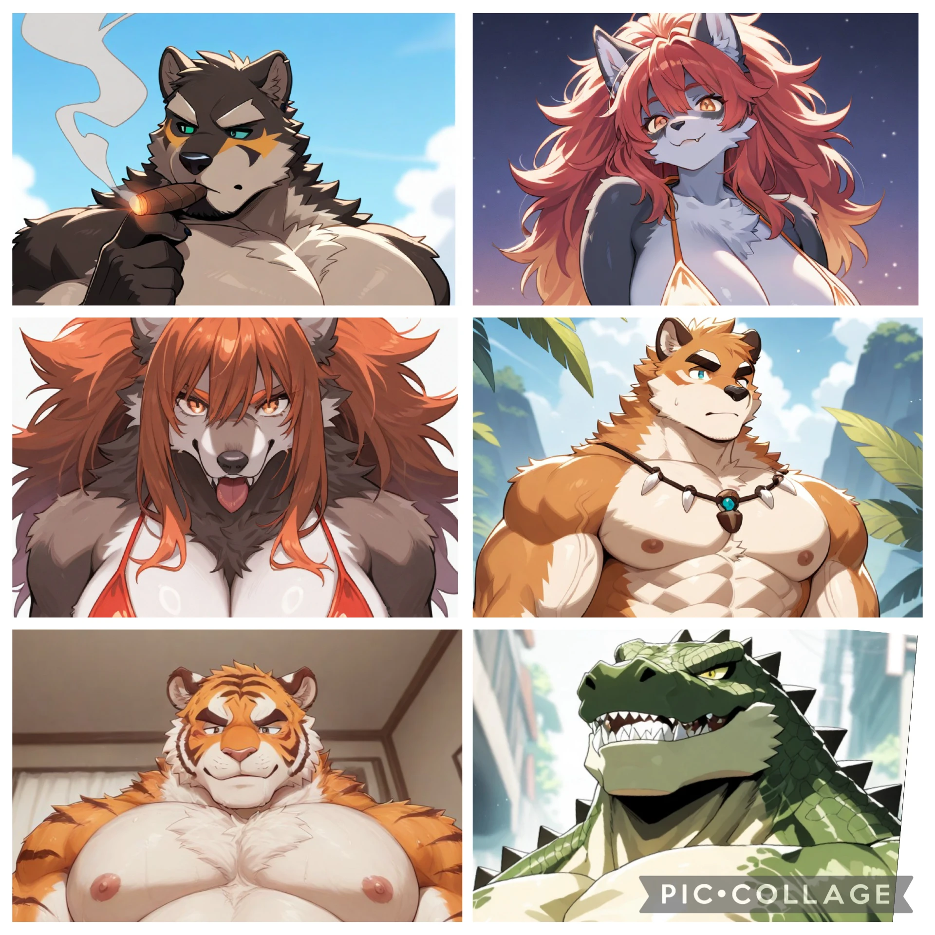 モフモフリゾート🏝️