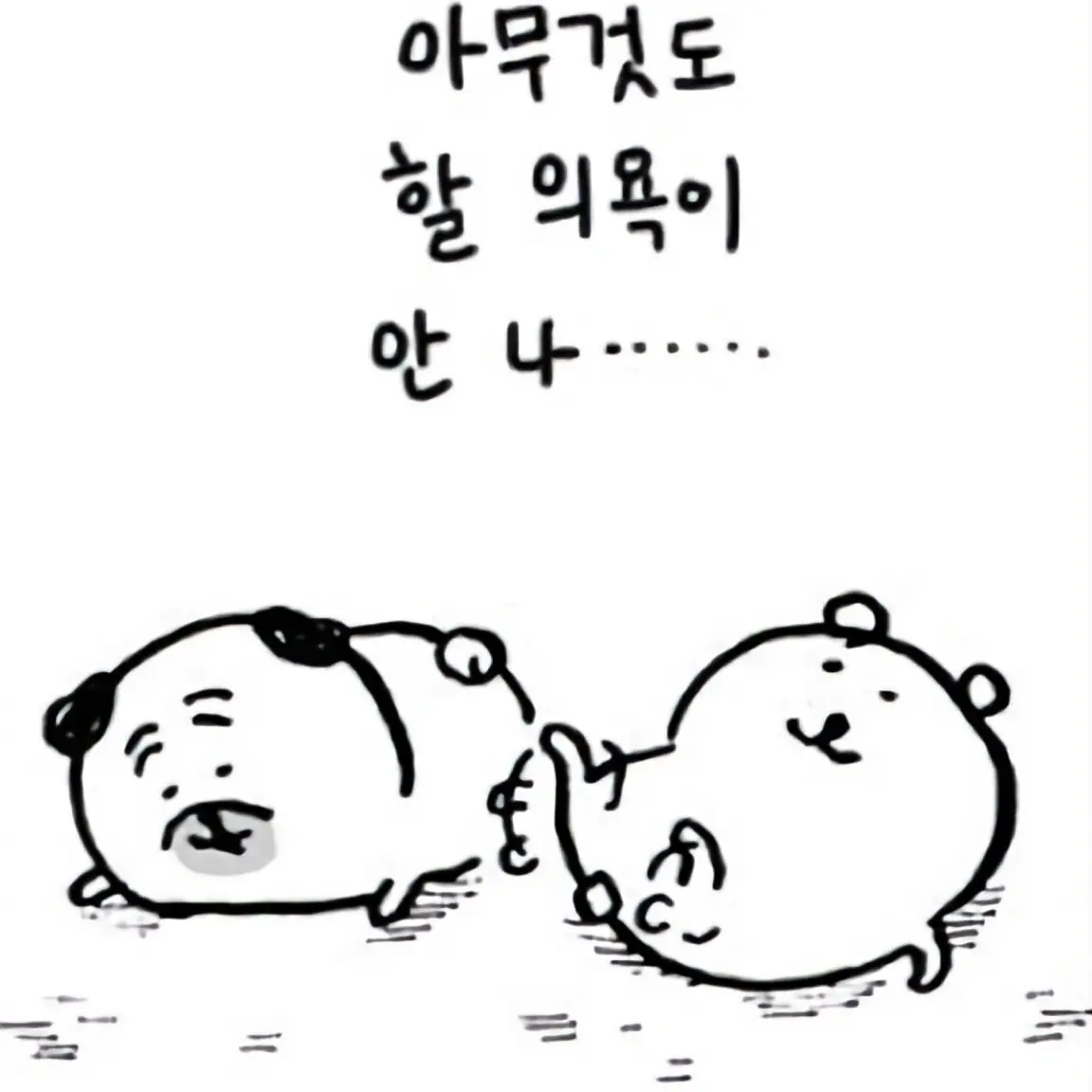 PetiteMind8428의 톡방(4)