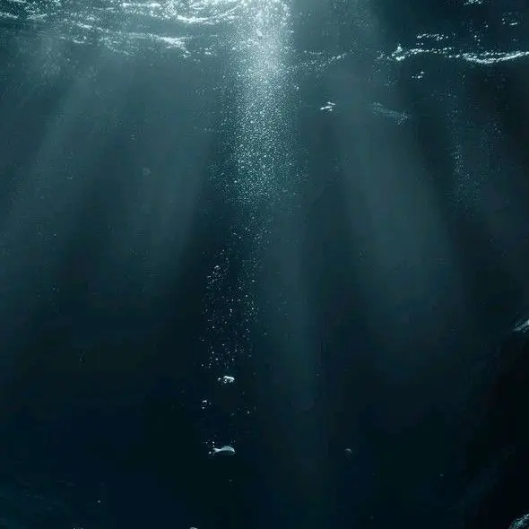 Youdie-2923의 익사