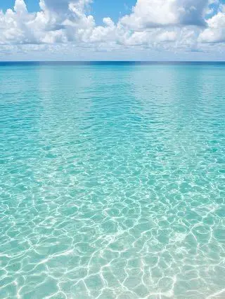 ActiveGoal3308의 自分用