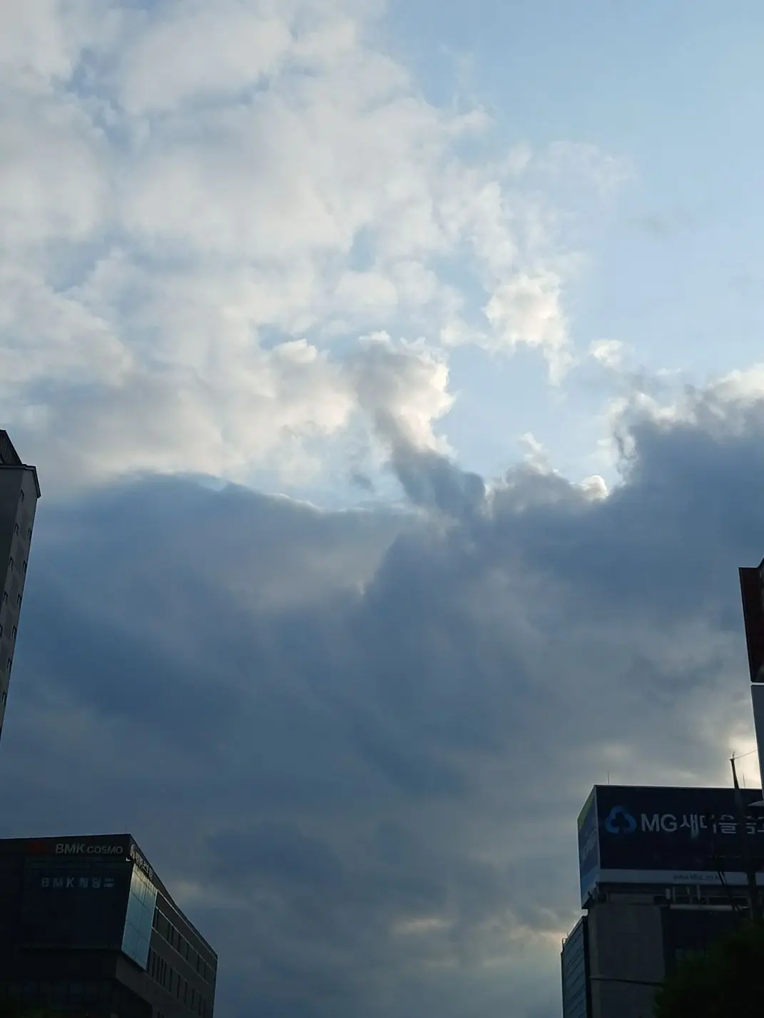 I_love_ani의 낙화🌺