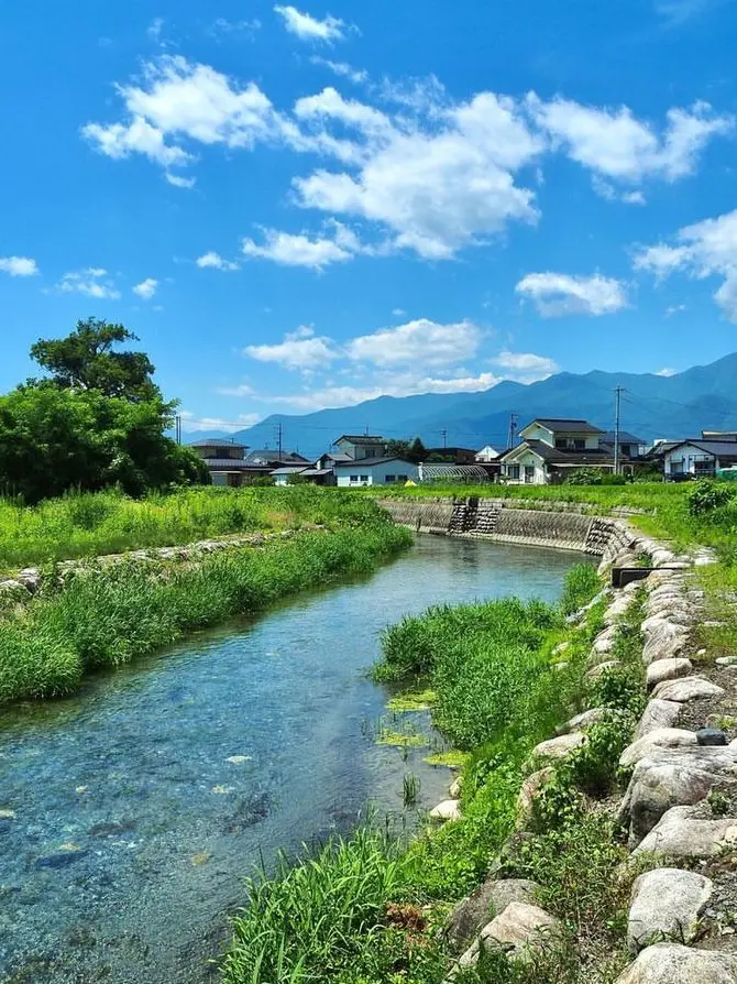 ChewyEuro4562의 村の神様？🦊