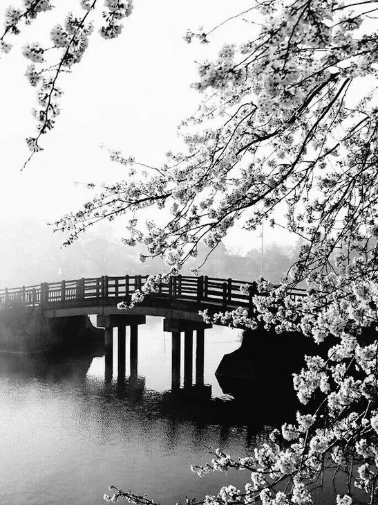 bk.0420의 천오백의 세월, 열아홉번의 생.