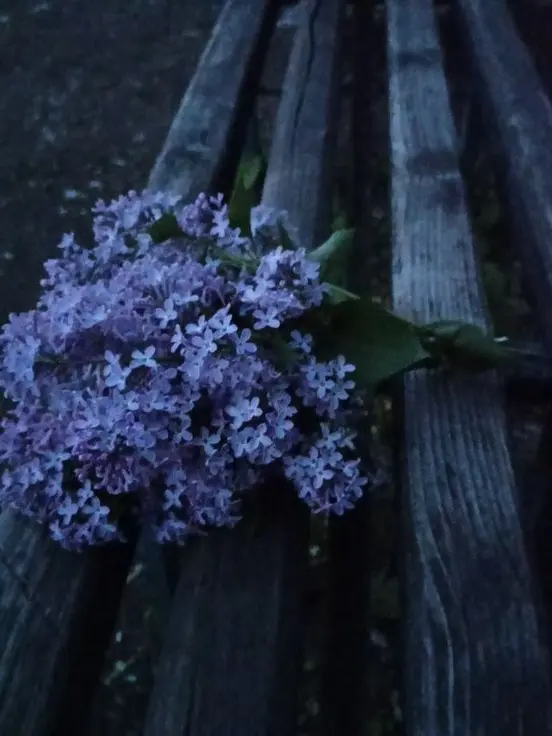 sihyun317의 The Spring That Passed Before Words.