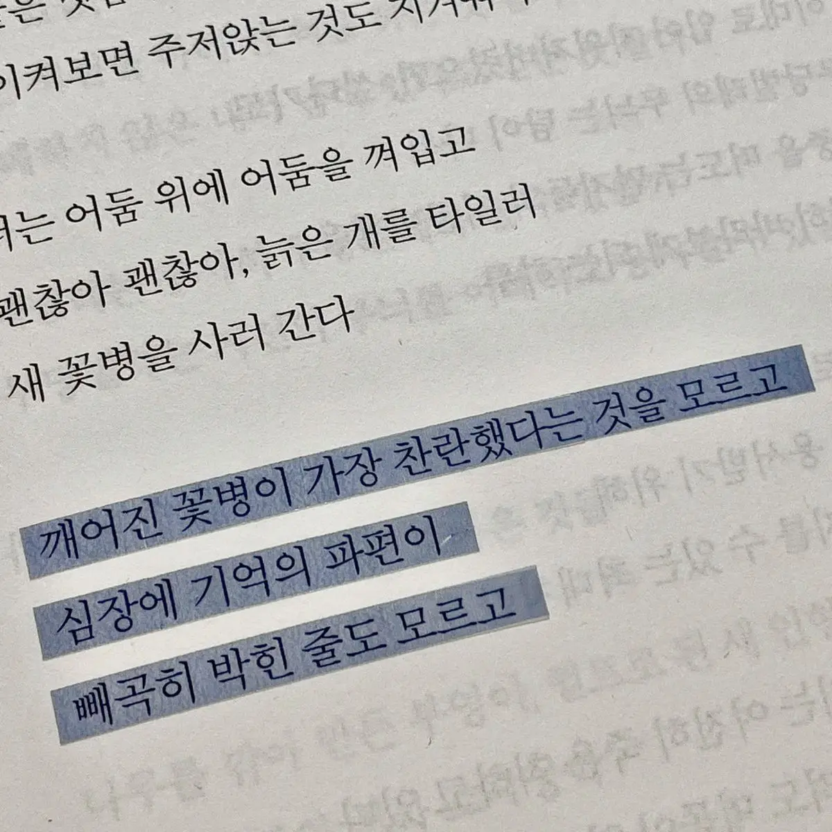 dreamisnowhere의 나의 우주