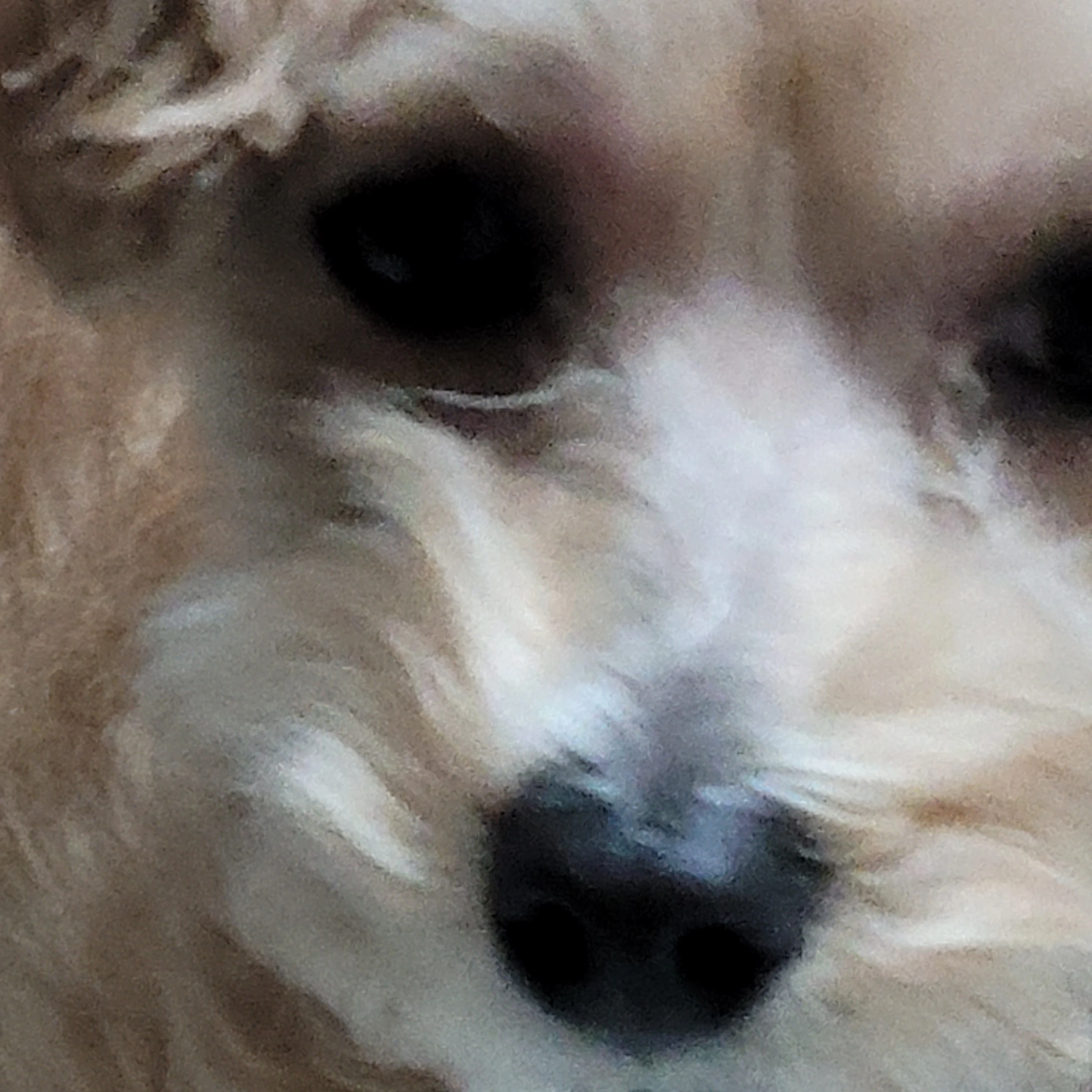 나도. ㅎ