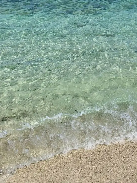 Woowang0722의 해변에 가고싶었어.