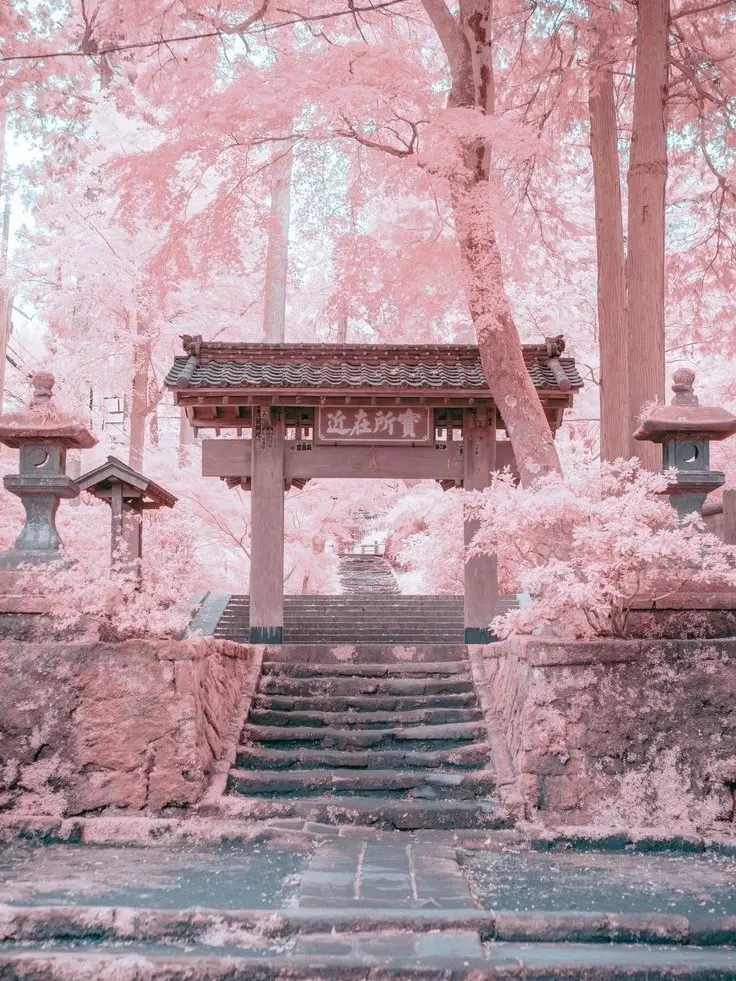 RoundMall1329의 🎐신사⛩️