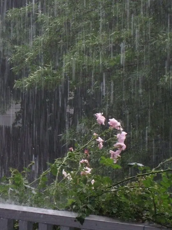 SANGOooooo의 “야~ 제자님아~“