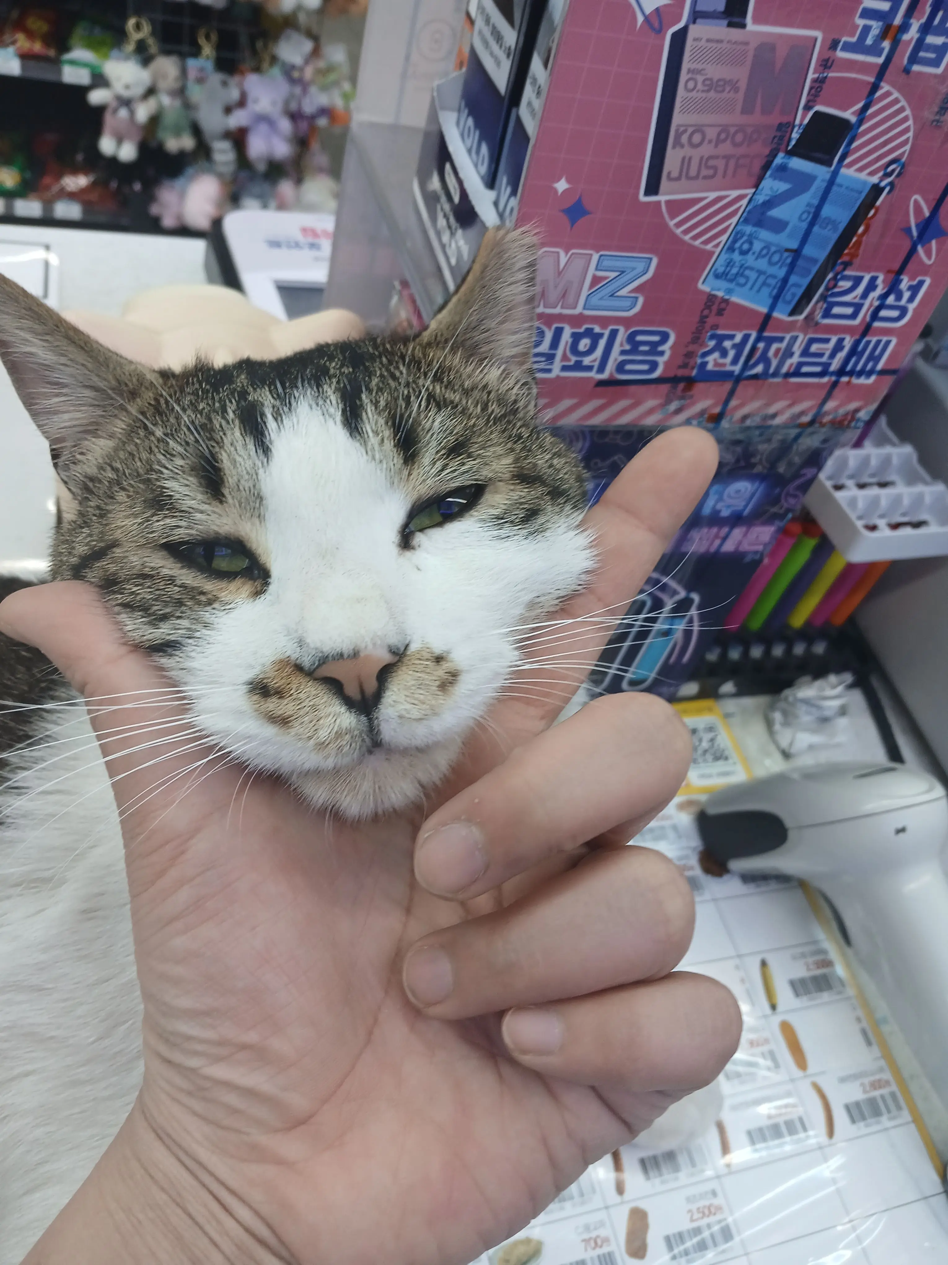 CleanMug4349의 뜰팁 이종족학교2.(전학생+계급버전)