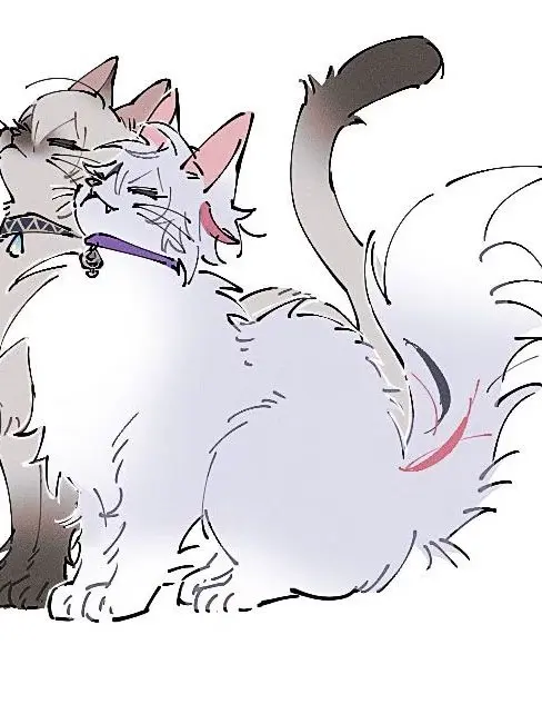 ScaredTime8003의 飼い猫