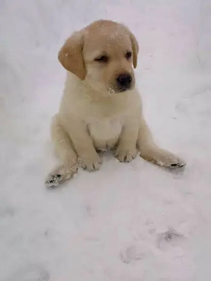 webtoon_의 박문대