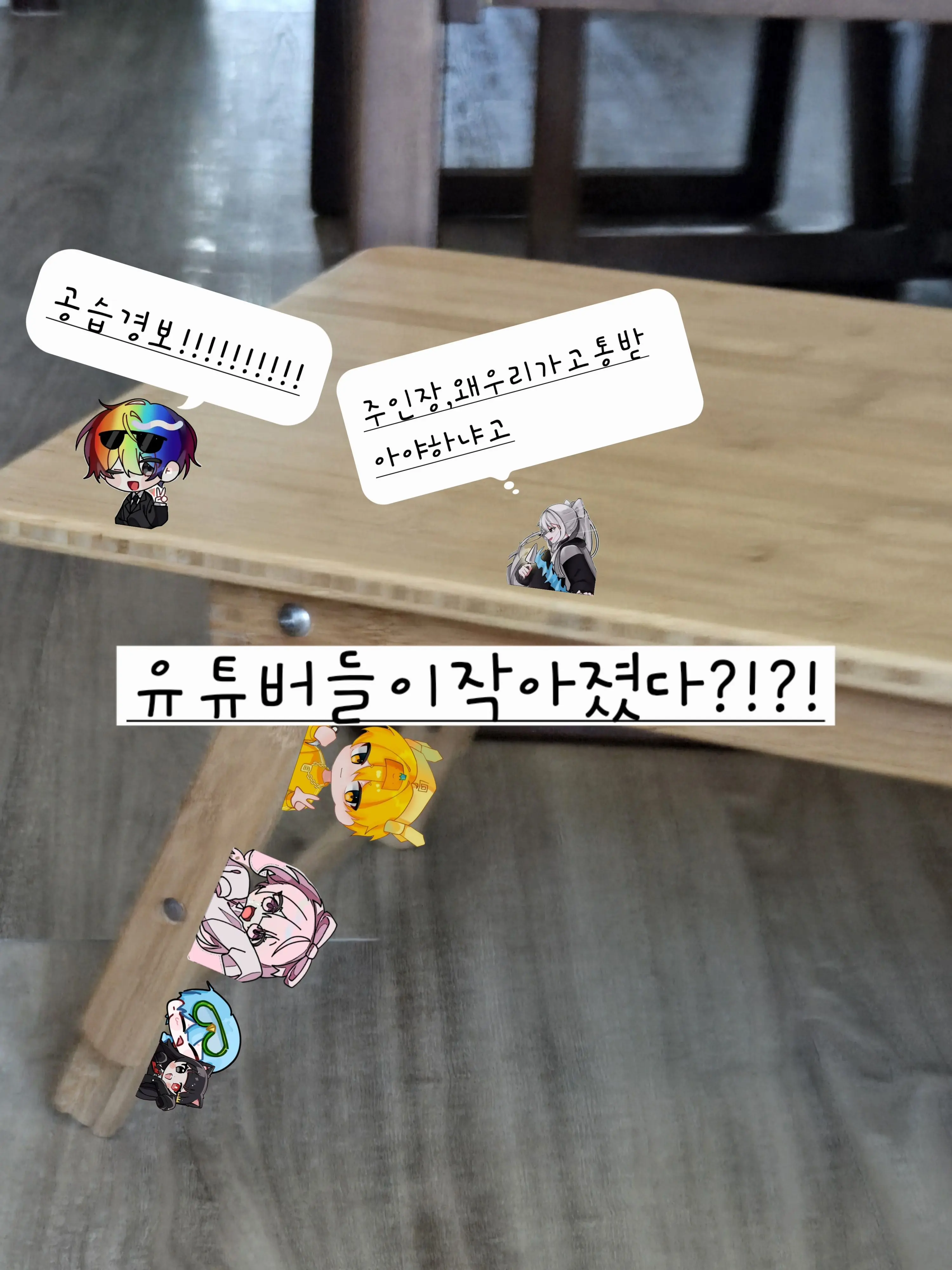 I.love.cat의 유튜버들 이작아졌다?!?!🥵🥵