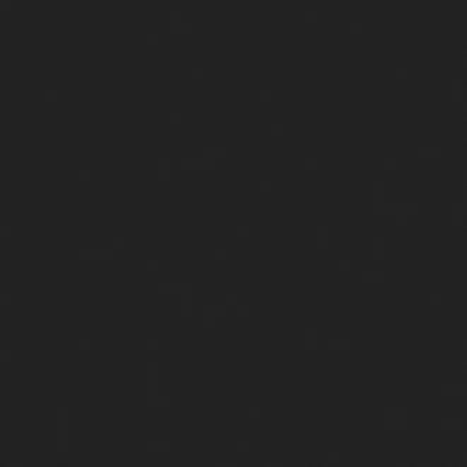 PPGT3NS3의 조우안신