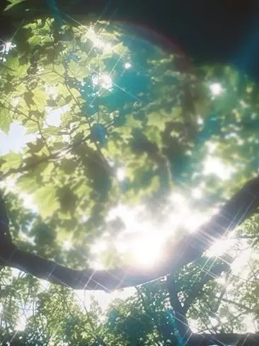 HandyMoose4708의 외사랑