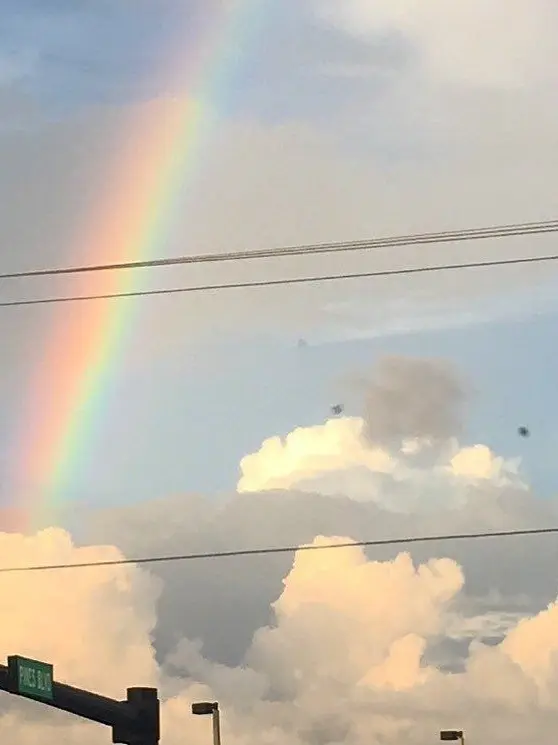 cromanyong의 토키토 무이치로