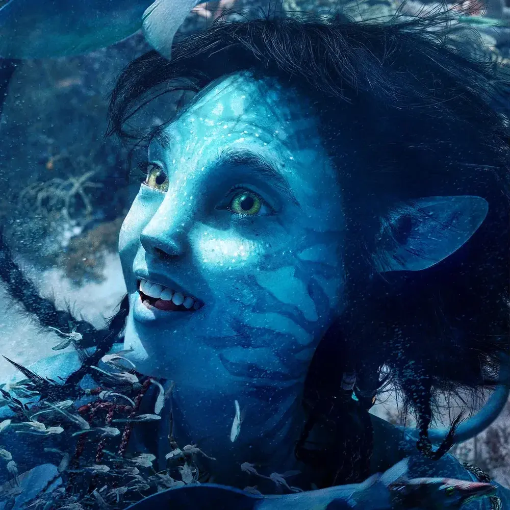 800sto0403의 키리와 잘 해보삼!