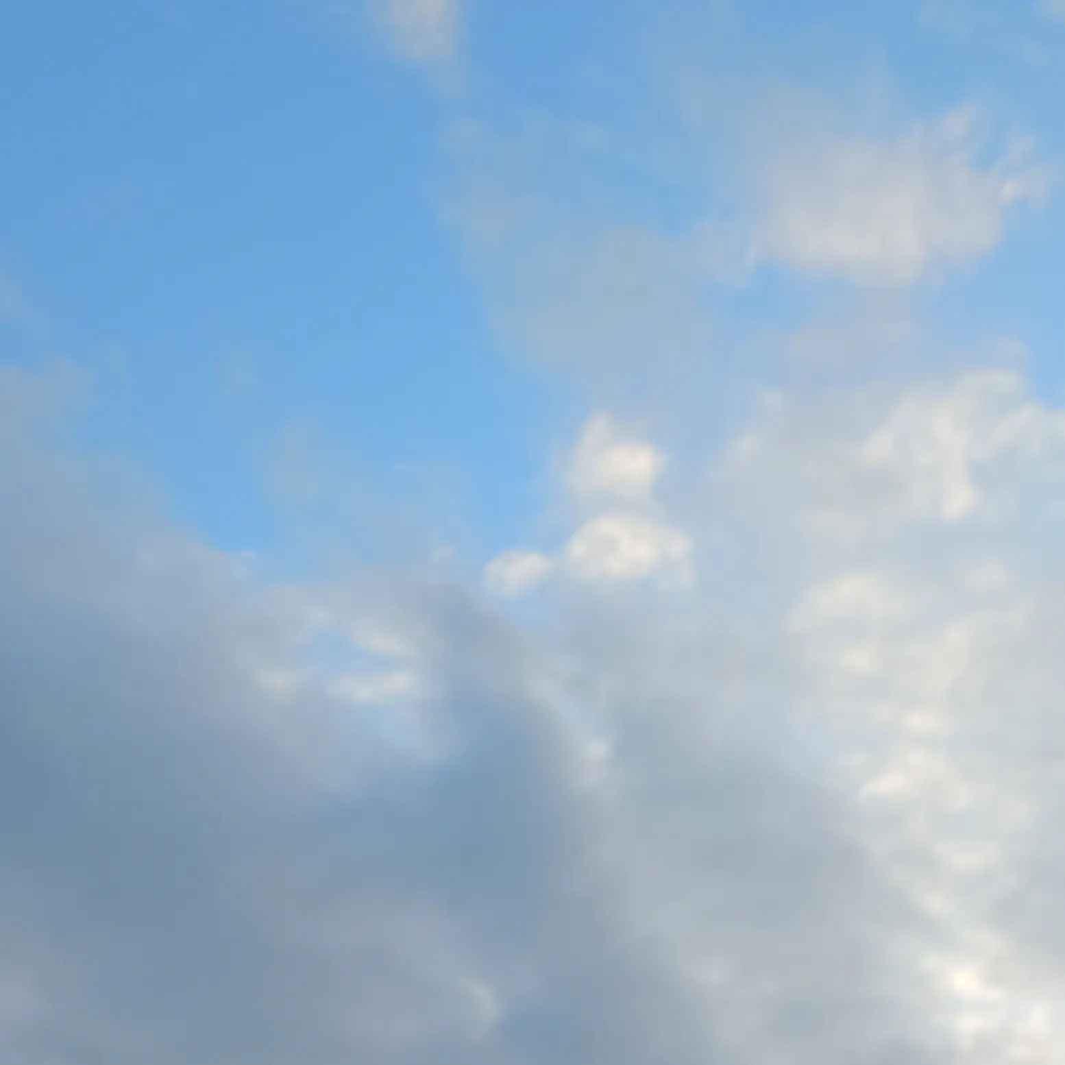 LovedBrick7462의 급식왕