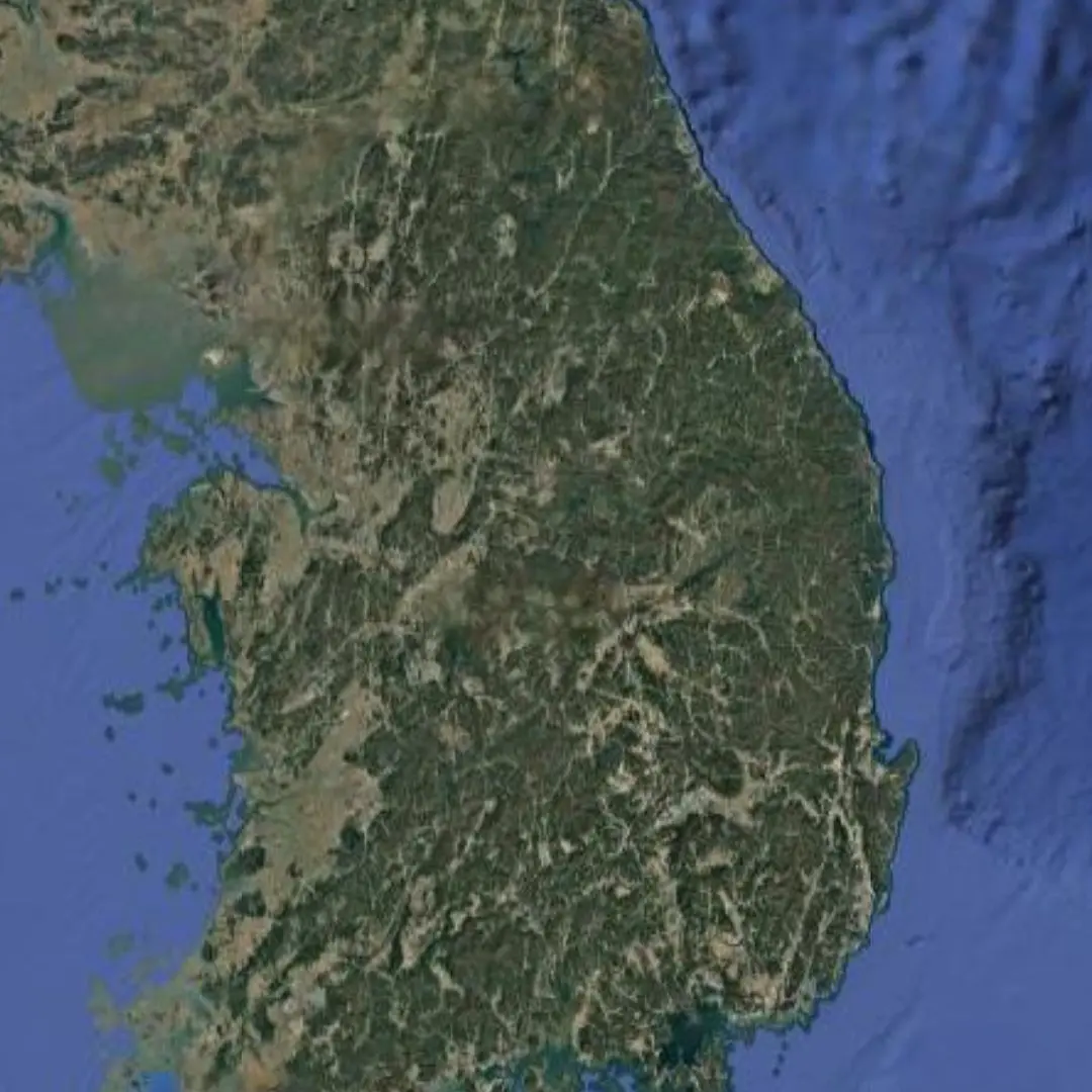 Bookshop의 1960년대의 대한민국으로 순간이동