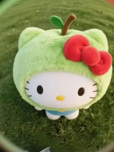 CAEEE의 결혼식