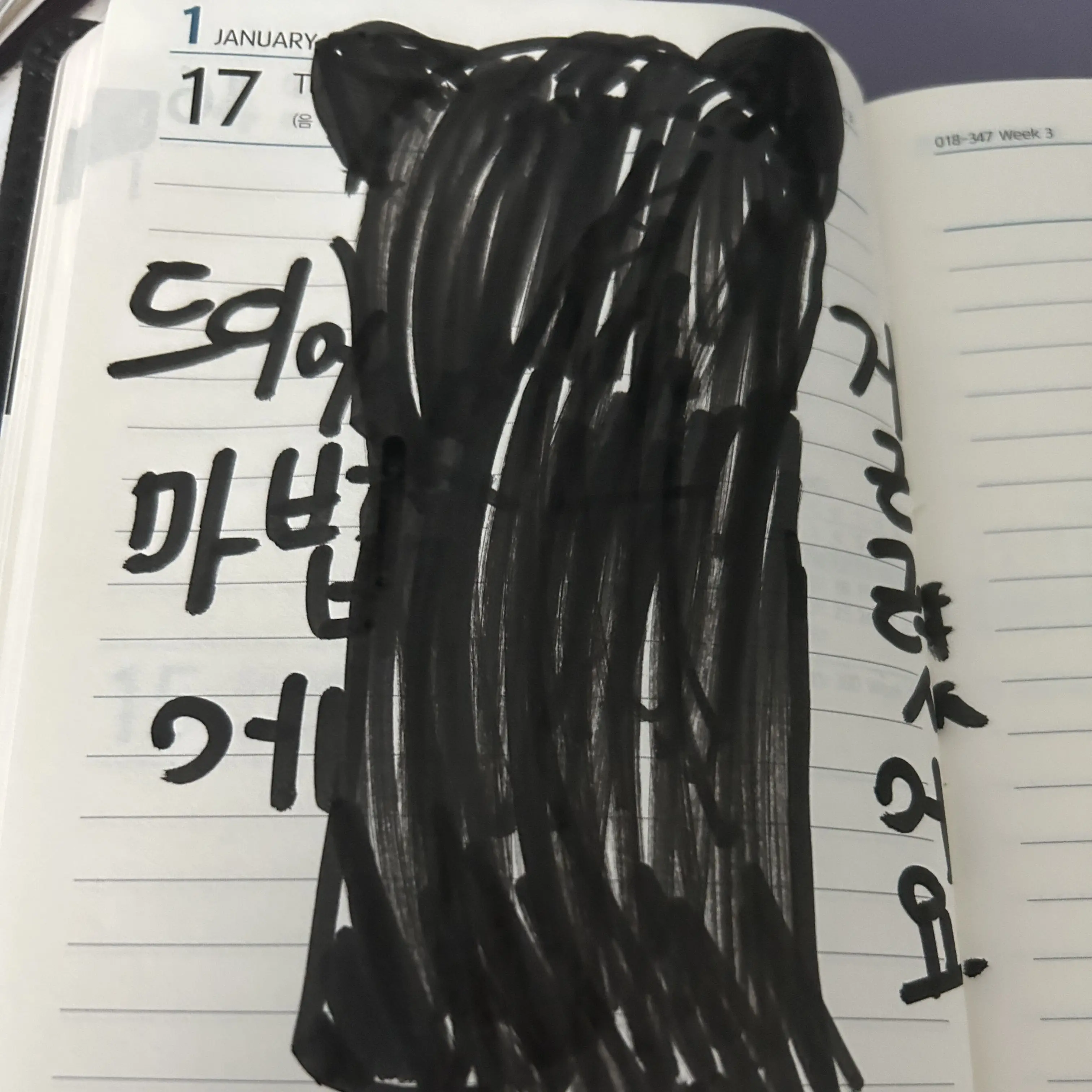 Reincarnationschoolmonster412의 서이브(냥 뮤비)