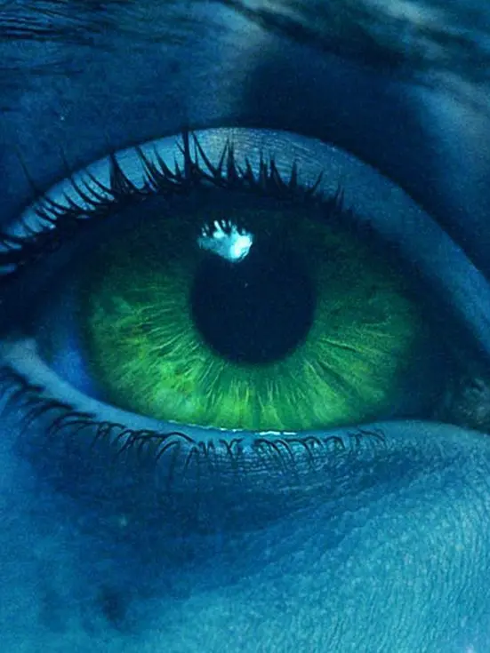 SmugShark8553의 Avatar cast