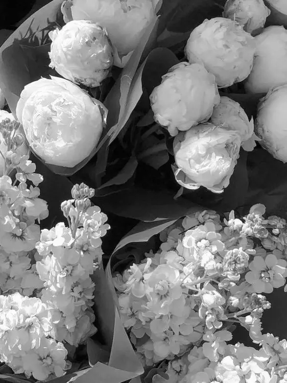 U_bel의 1215 & 1228