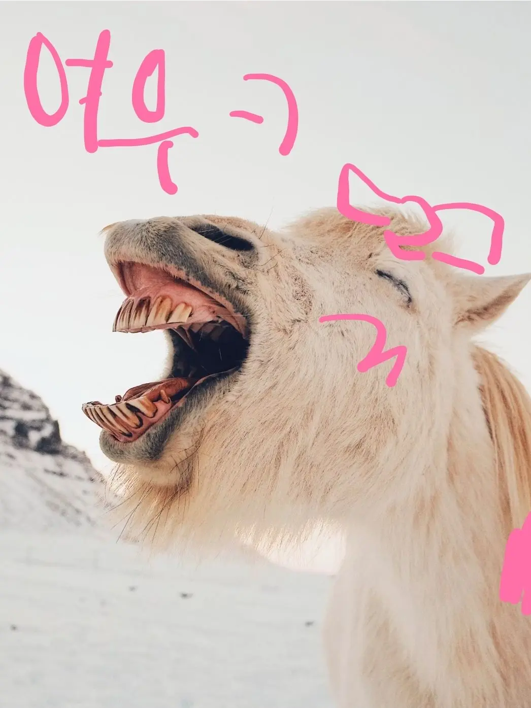 Djmk의 팀나빠 학교에서 바다를 간다❤️‍🔥
