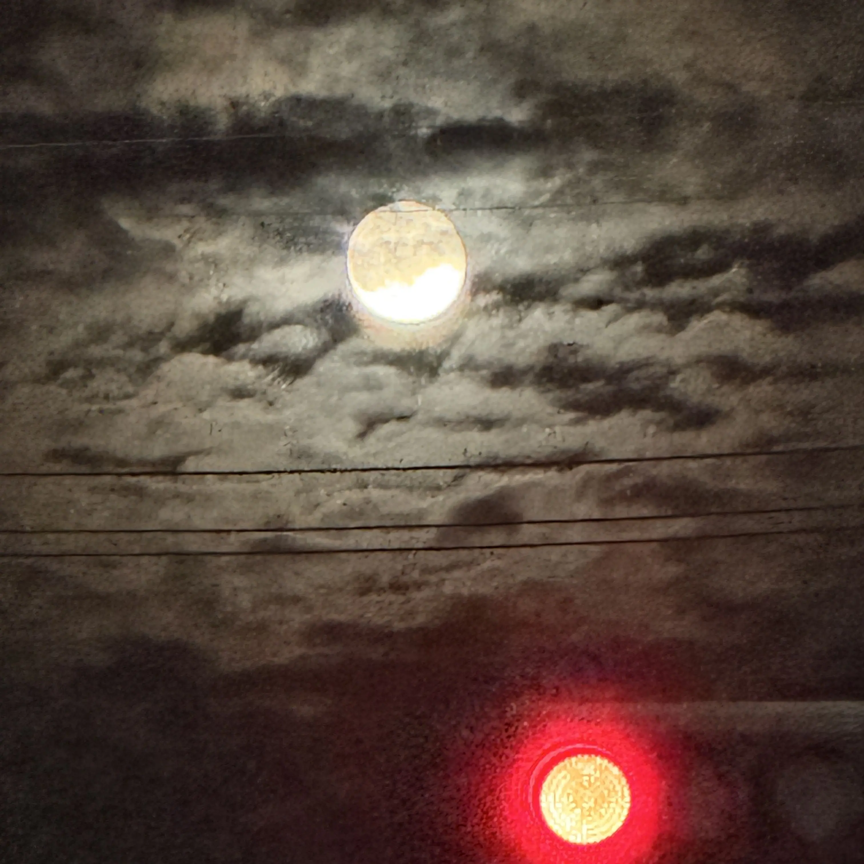 SwiftLoss0312의 나는 이곳에서 살아남아야 된다.