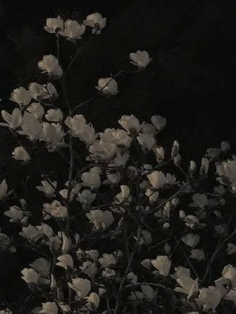 QuirkySeed4287의 前生