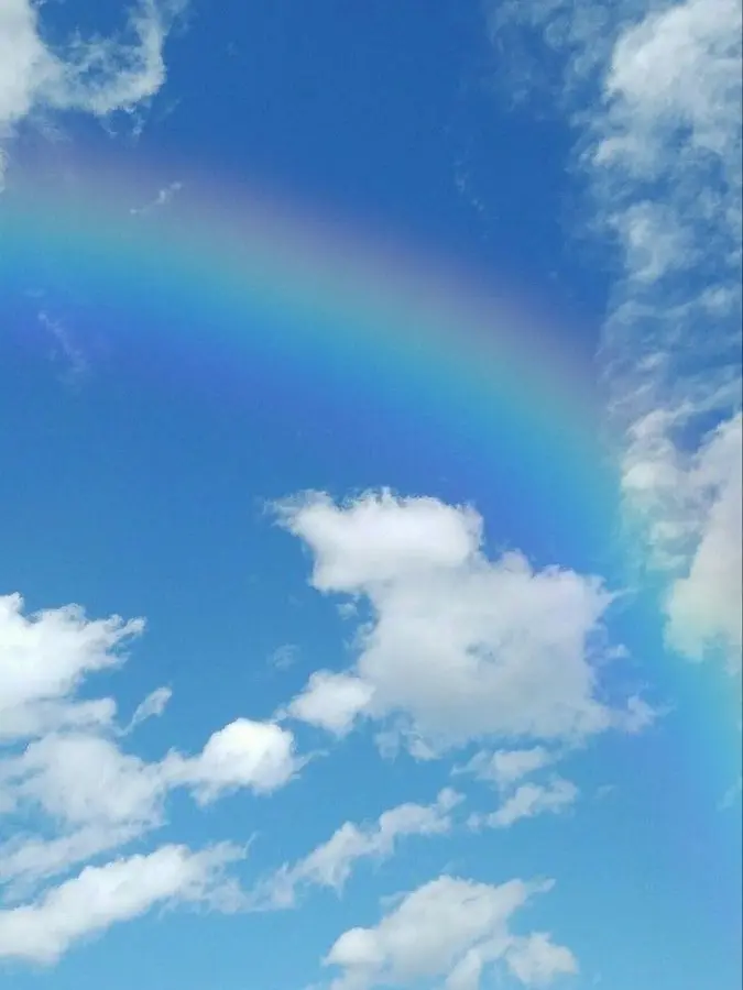 Kirabosi2009의 あの子に内緒の誕生日パーテ!?