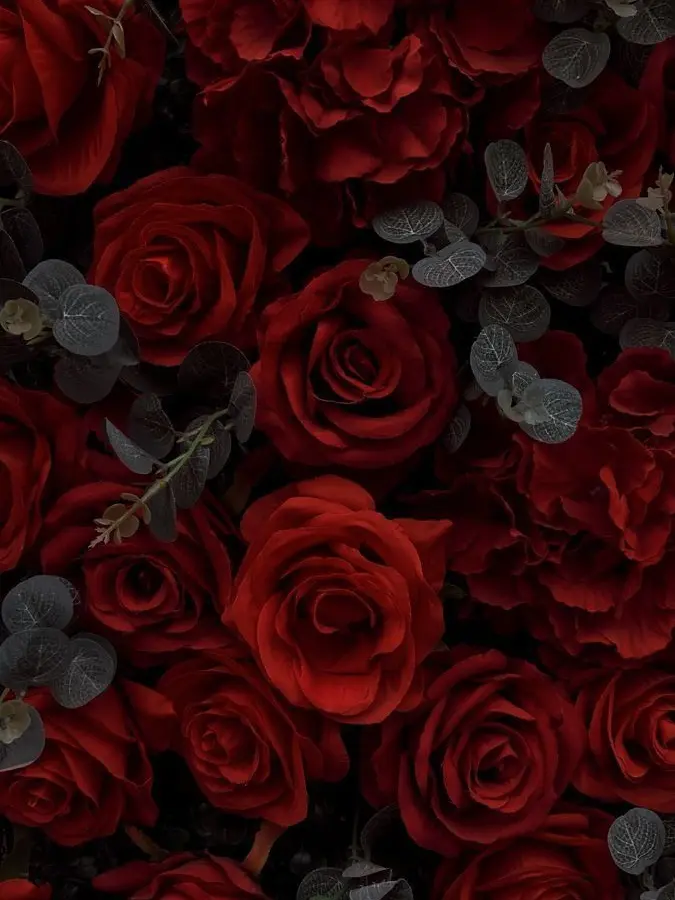 lize_tabi921의 인기녀가 유독 나에게 관심을?..