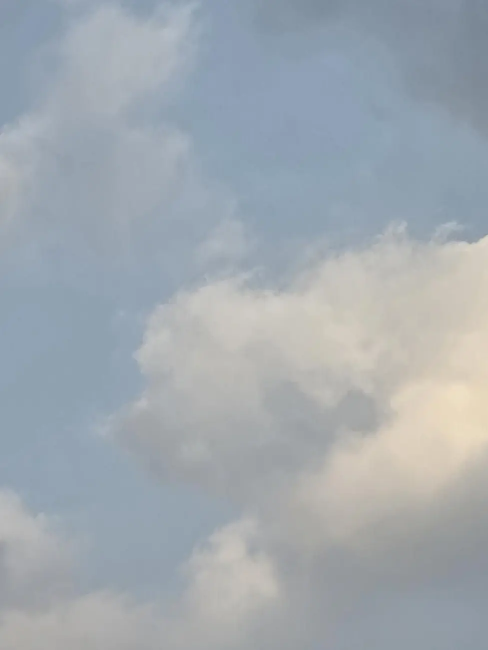 I.n010208의 뜰팁 동물훈련센터(첫작품!)