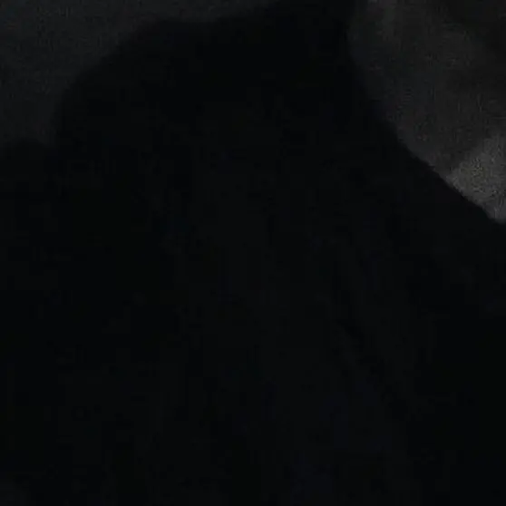 purelove_의 정재현