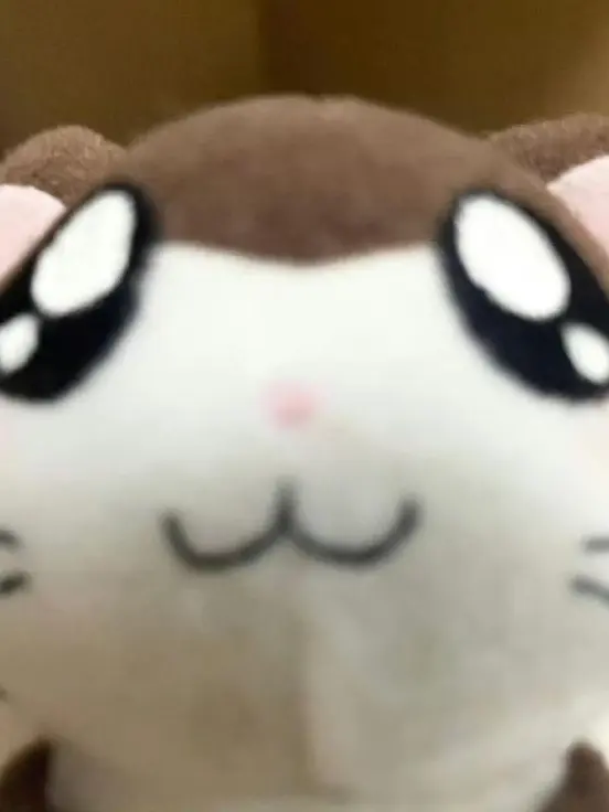 ItchyCamel3363의 개인용