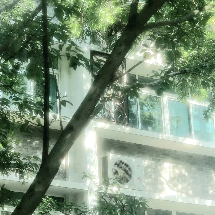 좀비고 야구부 세명ミ