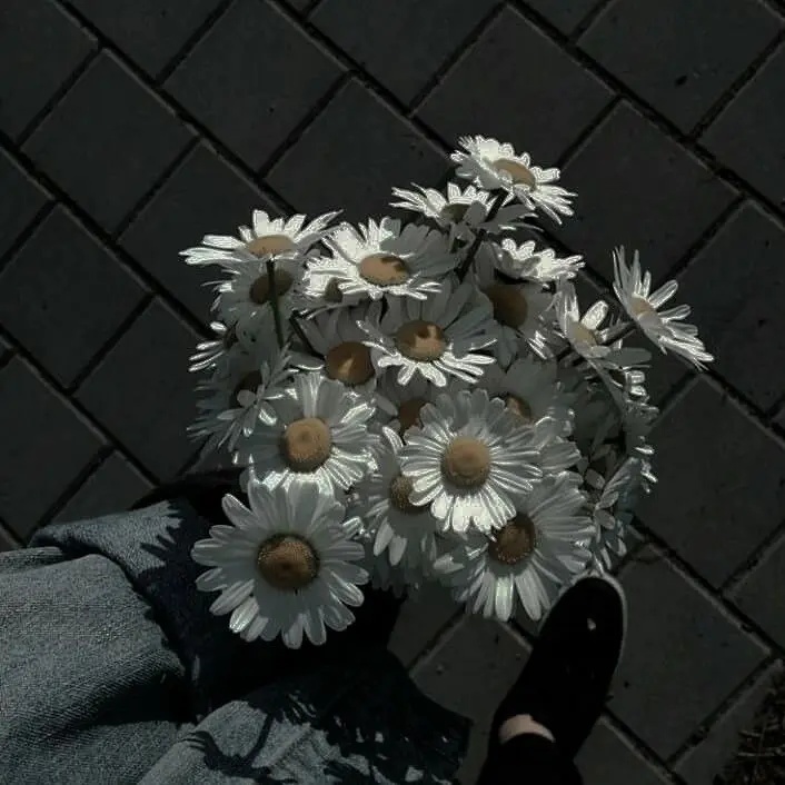 rose136p의 니 죄, 내가 쓰다듬어줄게예