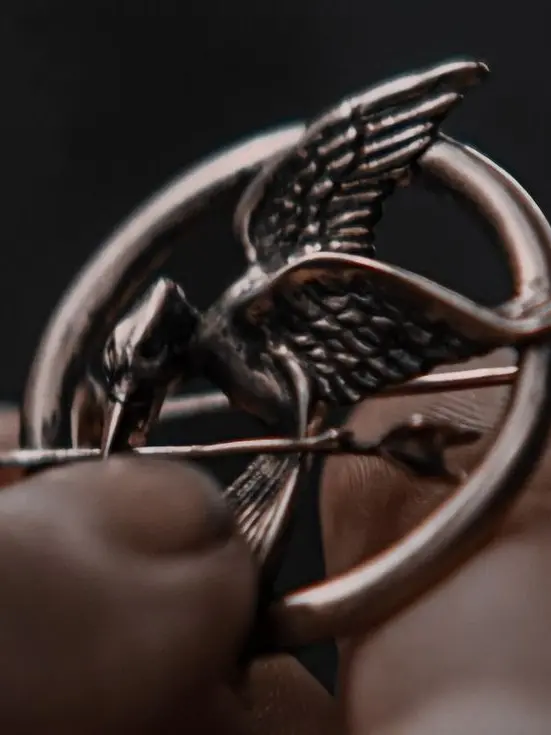 LovelyDiary3804의 The hunger games