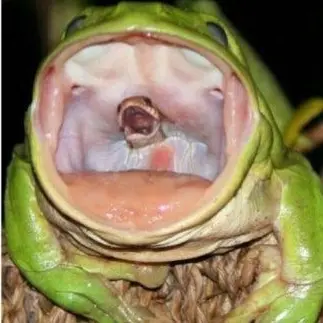 SleekMud5074의 테스트