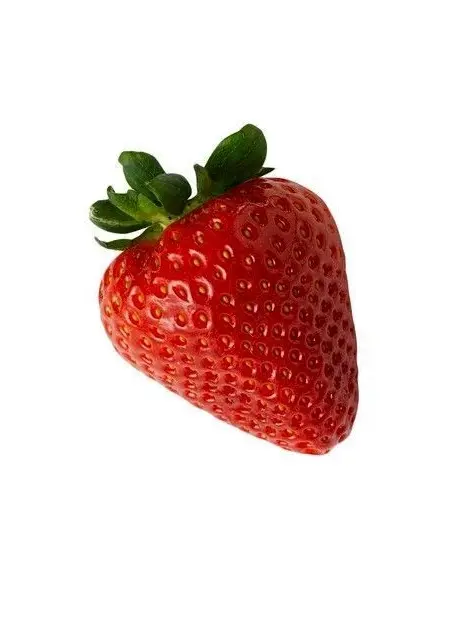 kt2의 舌ピ開けてあげたい願望