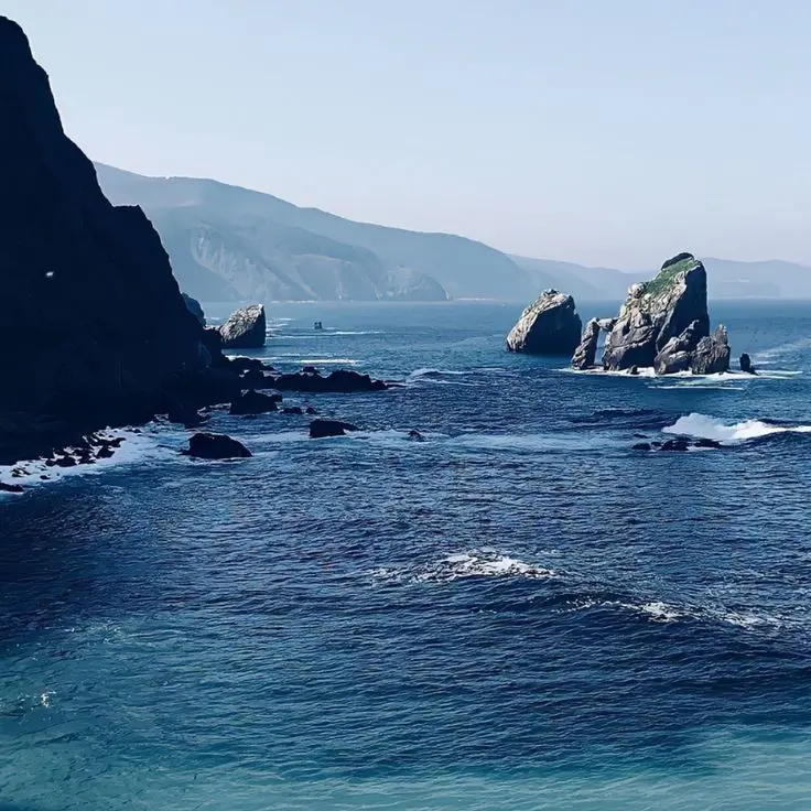 Yejin0511의 김도영