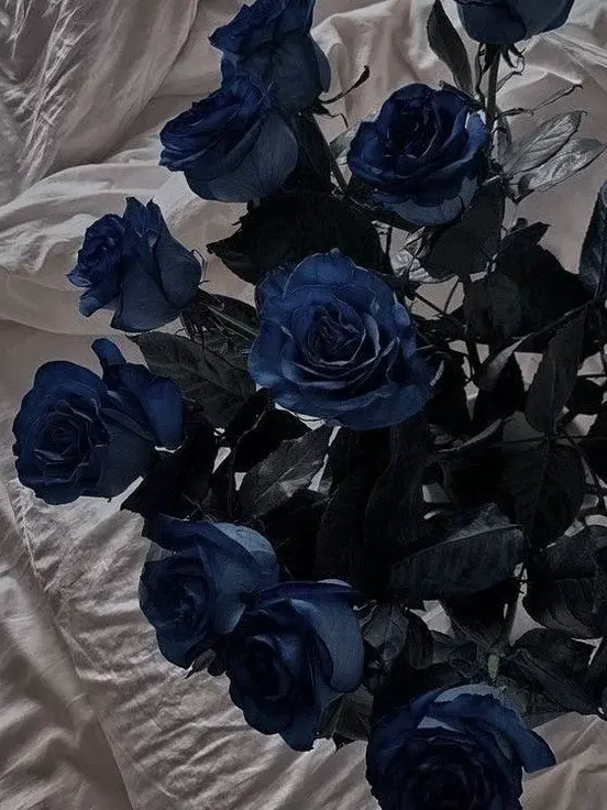 𝐀𝐧𝐠𝐞𝐥 대표 이미지