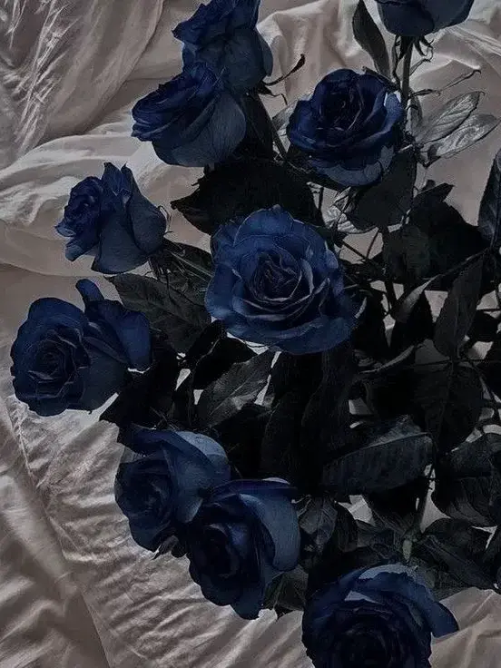 axeonx_1의 𝐀𝐧𝐠𝐞𝐥