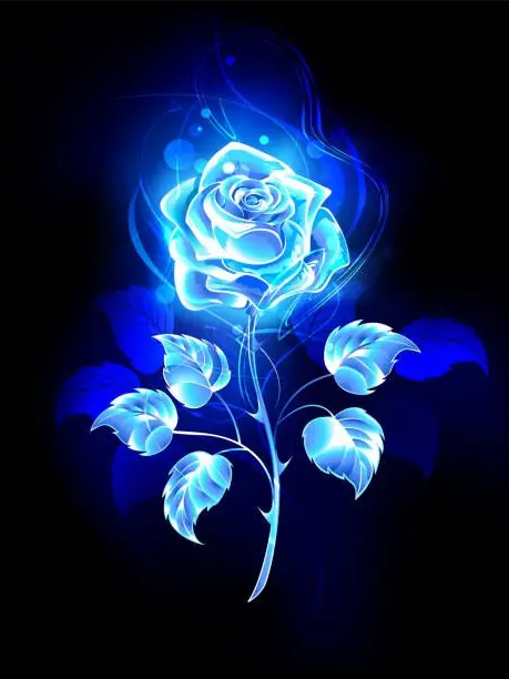 SleazyQuake6996의 Ado隊長