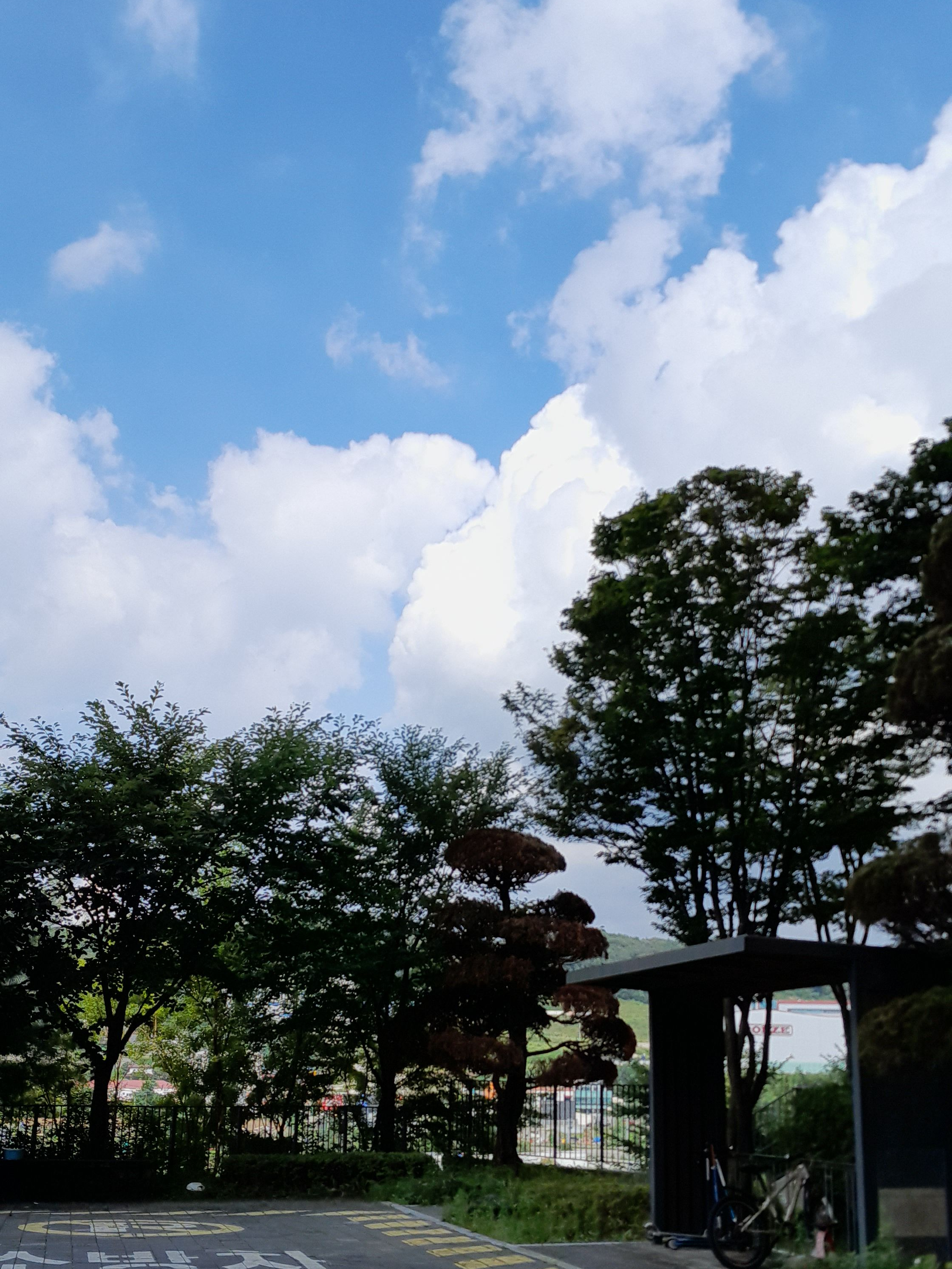 6인아이돌 대표 이미지