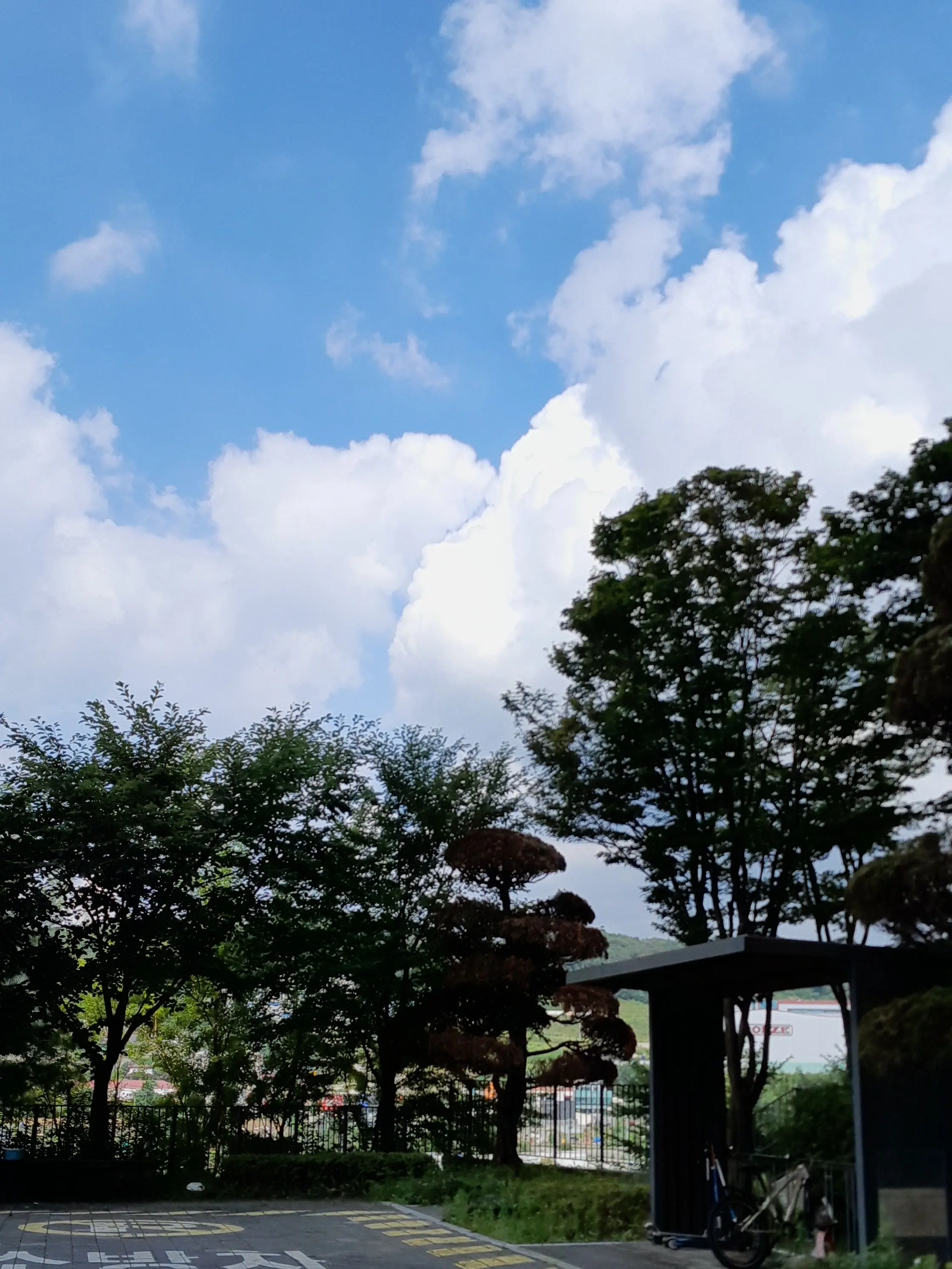 BarrenSauce0936의 6인아이돌