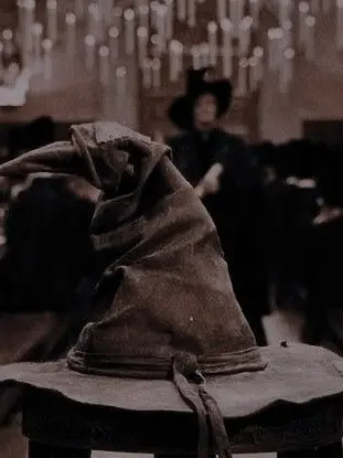 Sillylilguy.GAYS의 Hogwarts New student